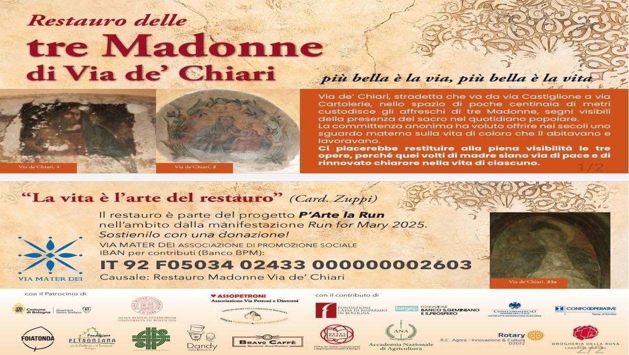 Associazione-Mater-Dei-Cartoline-1256x710-1.jpg